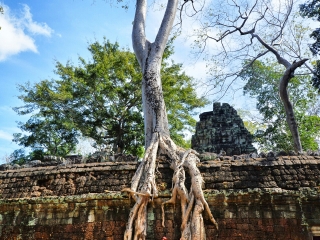 柬埔寨旅游最佳路线_春节期间去柬埔寨旅游_旅游社柬埔寨