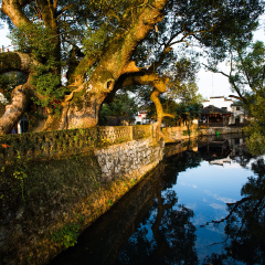 景点模块 