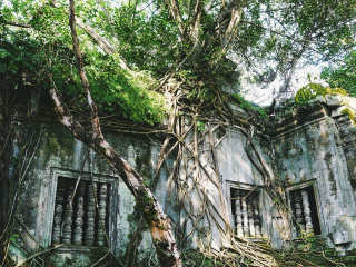 去柬埔寨旅游网站_柬埔寨旅游线路_柬埔寨五日游团
