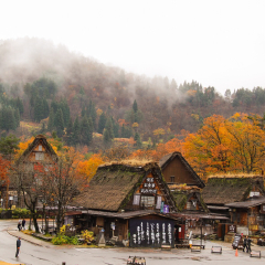 景点模块 