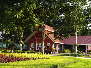 以往國慶泰國清邁游價格_東莞到泰國清邁游_泰國清邁游 旅行團