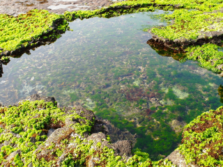 巴厘島旅游價(jià)格多少跟團(tuán)_巴厘島旅游簽證多少錢_巴厘島游 旅行團(tuán)
