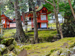 日本旅游報(bào)團(tuán)價(jià)格_日本旅游價(jià)格_日本游 旅行團(tuán)