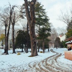 景点模块 