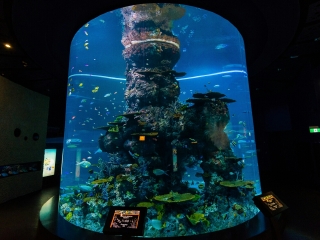 去泰新馬旅游怎么走_深圳到泰新馬旅游報價_以往國慶泰新馬游價格