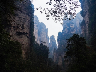 张家界报团旅游价格_到张家界旅行_张家界七日游