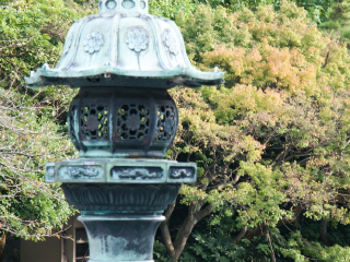 日本東京旅行團自由行_日本東京組團旅游_日本東京旅游價格多少