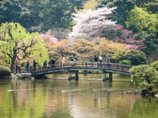 近期日本游價(jià)格_10月1日日本旅游報(bào)價(jià)_日本旅游幾月份最好