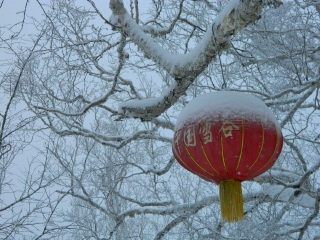 哈尔滨游深圳出发_哈尔滨十一天游_旅游社哈尔滨