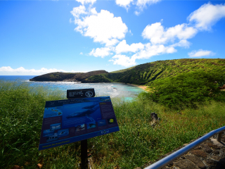 暑假美國(guó)夏威夷游價(jià)格_美國(guó)夏威夷游 旅行團(tuán)_美國(guó)夏威夷旅游最佳路線