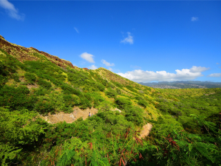 美國(guó)加拿大10月旅行團(tuán)價(jià)格_春節(jié)美國(guó)加拿大游價(jià)格_美國(guó)加拿大旅行跟團(tuán)