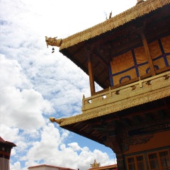 景点模块 