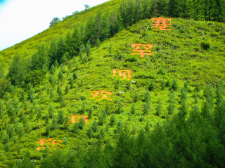 北戴河組團(tuán)旅游_北戴河旅游價(jià)格多少跟團(tuán)_北戴河九月旅游
