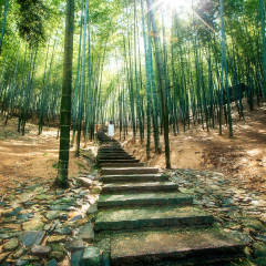 景点模块 
