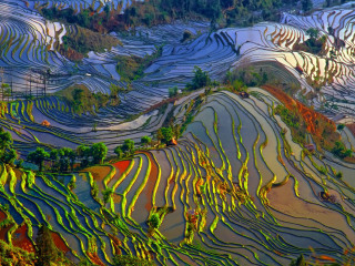云南昆明跟團還是自由行_以往國慶云南昆明游價格_深圳到云南昆明旅游報價