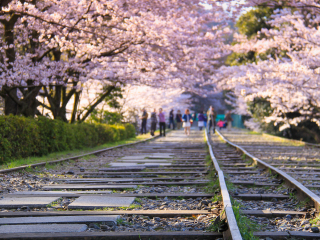到日本6天游_去日本旅行报团_日本旅游最佳