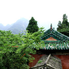 景点模块 