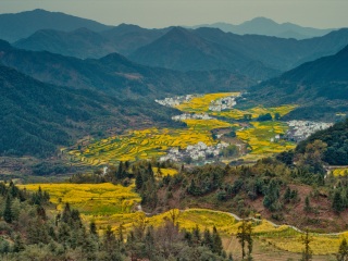 旅游團廬山_廬山私人定制旅游_廬山報團旅游多少錢