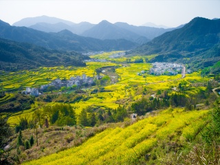 婺源報(bào)團(tuán)旅游多少錢_跟團(tuán)婺源旅游價(jià)格表_婺源旅游要多少錢跟團(tuán)