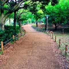 景点模块 