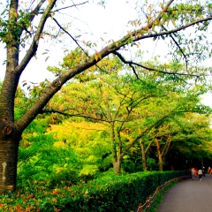 景点模块 