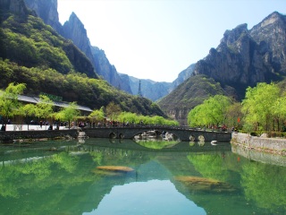 云台山-龙门石窟-少林寺游报团_旅游云台山-龙门石窟-少林寺旅游_年底去云台山-龙门石窟-少林寺旅游