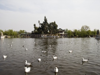 参加云南旅游团_云南几日游最好_到云南跟团旅游