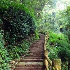 景点模块 