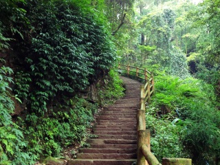 四川峨眉山旅游多少錢(qián)_深圳特價(jià)四川峨眉山游_四川峨眉山旅游報(bào)價(jià)