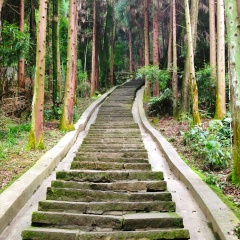 景点模块 