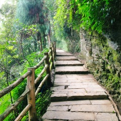 小交通模块 