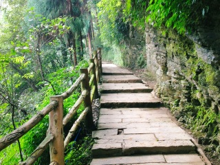 四川九寨溝九月旅游_四川九寨溝游 旅行團(tuán)_去四川九寨溝旅游多少錢
