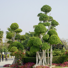景点模块 