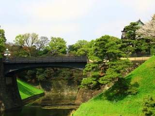 暑假日本游價(jià)格_日本旅游需要多少錢_廣州日本旅游團(tuán)