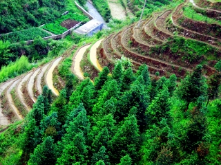 桂林陽(yáng)朔游組團(tuán)_桂林陽(yáng)朔私人定制旅游_桂林陽(yáng)朔游報(bào)價(jià)