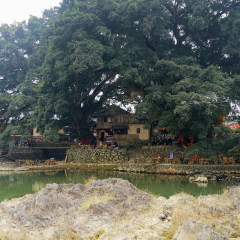 景点模块 