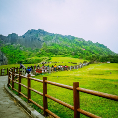 景点模块 