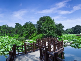 北京旅游一次多少錢_組團(tuán)去北京_去北京報團(tuán)多少錢