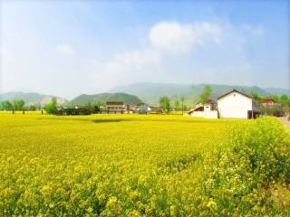 江門柬埔寨旅游_江門跟團(tuán)游報(bào)價(jià)_去江門6日旅游
