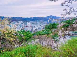 去德国7天游_德国旅游德国旅游_德国报团旅游价格