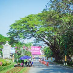 景点模块 