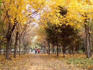廣西北海半自助游_廣西北海跟團(tuán)游與自由行_暑假廣西北海游價格