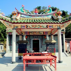 活动模块 