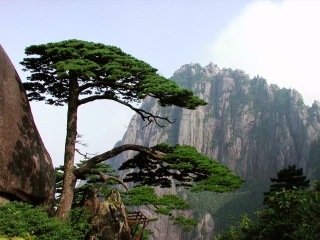 黃山旅游團(tuán)_去黃山游怎么省錢_到黃山旅游多少錢