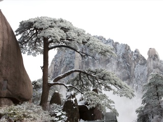 黃山旅游跟團(tuán)需多少錢_黃山游花多少錢_到黃山旅游多少錢