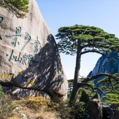 景点模块 
