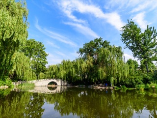 山东五天跟团旅游_去山东旅行网_山东七日游