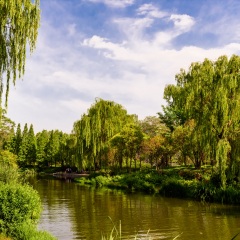 景点模块 