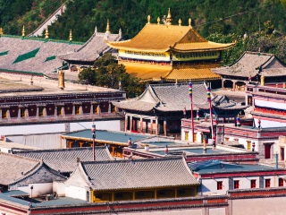 青海湖自由游價格多少_青海湖旅游團報價_組團去青海湖