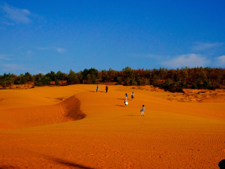 越南豪华旅游价格_去越南5日游_2023越南九日游多少钱